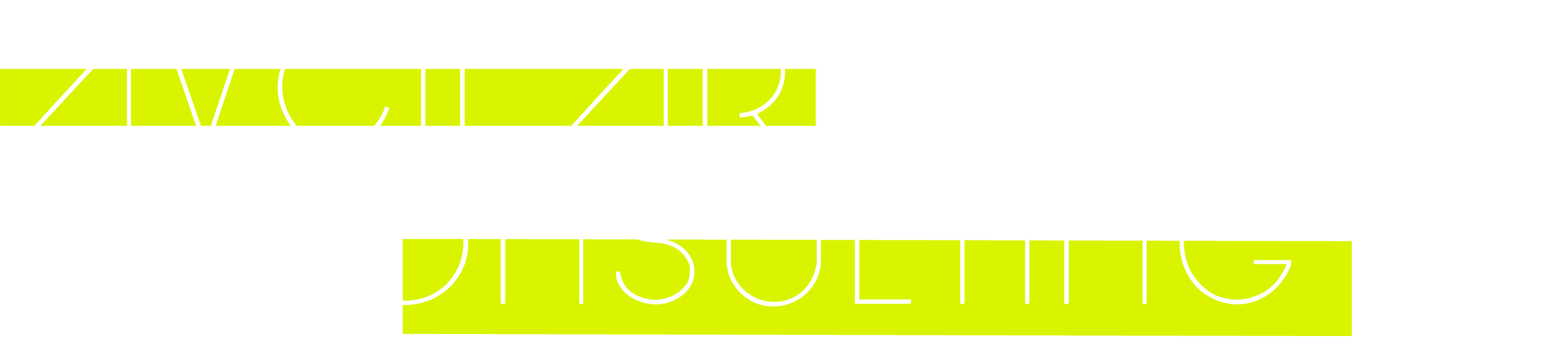 Avcilar Consulting